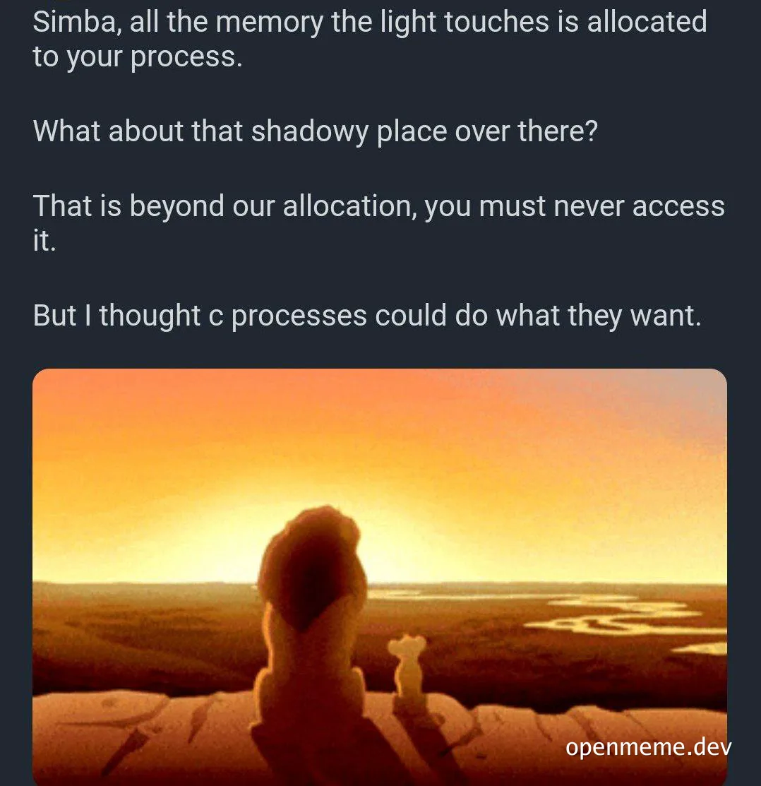 Lion king meme with simba and mufasa looking at memory allocation
