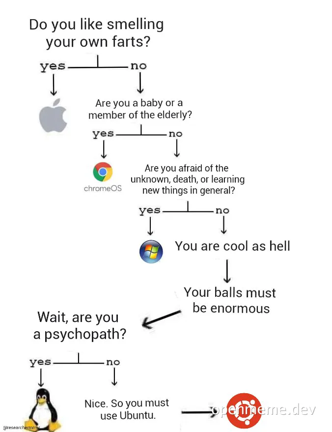 A flowchart meme about choosing an operating system based on personality traits