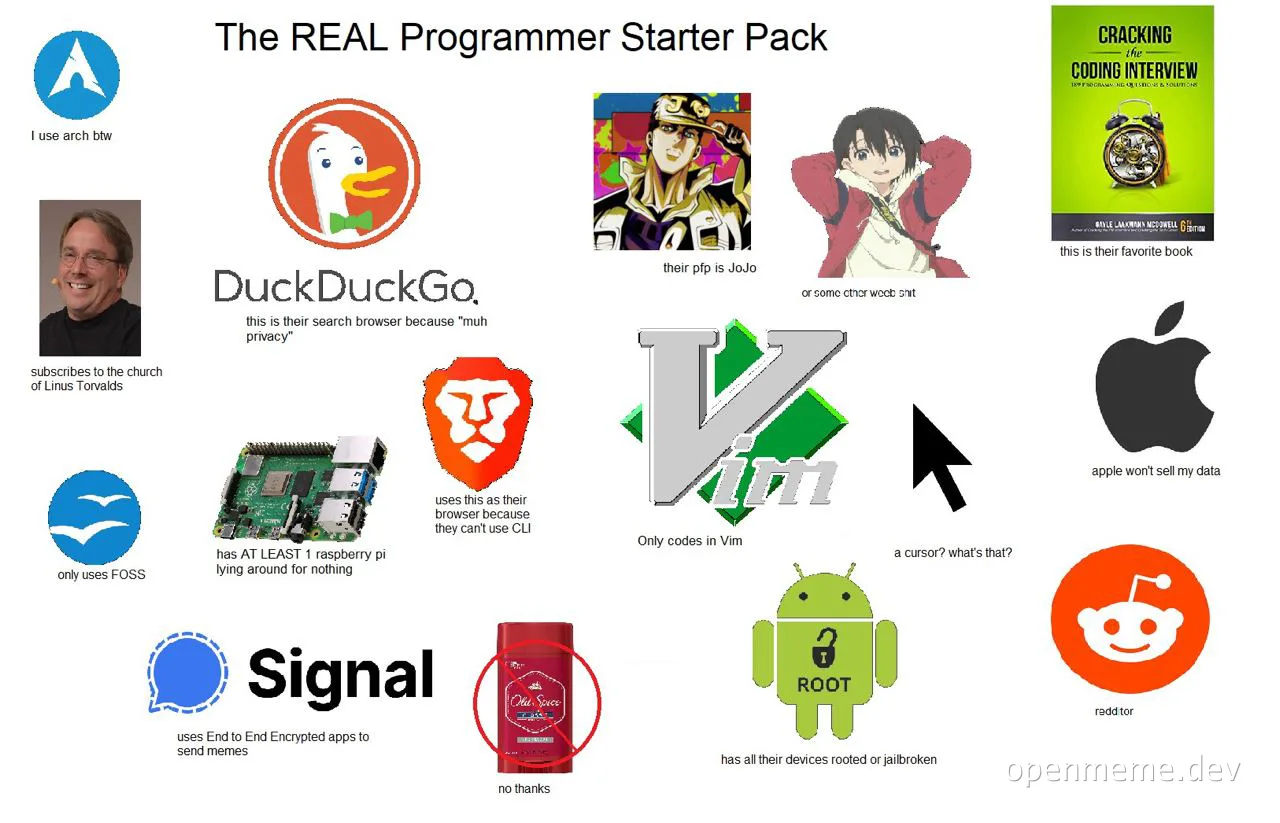 The REAL Programmer Starter Pack meme