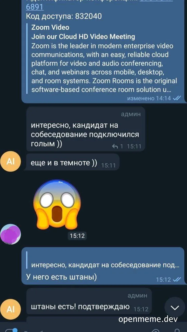 Zoom meeting screenshot with shocked reaction to candidate's attire