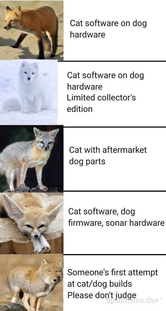cat software on dog hardware meme with images of different foxes