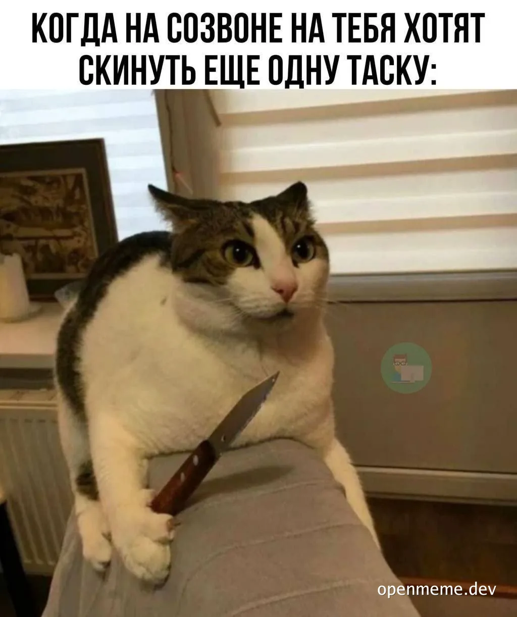 cat holding knife meme