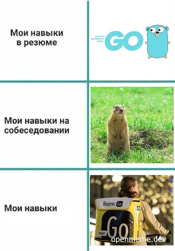 russian meme about developer skills on resume and interview