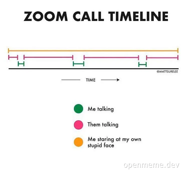Zoom call timeline meme