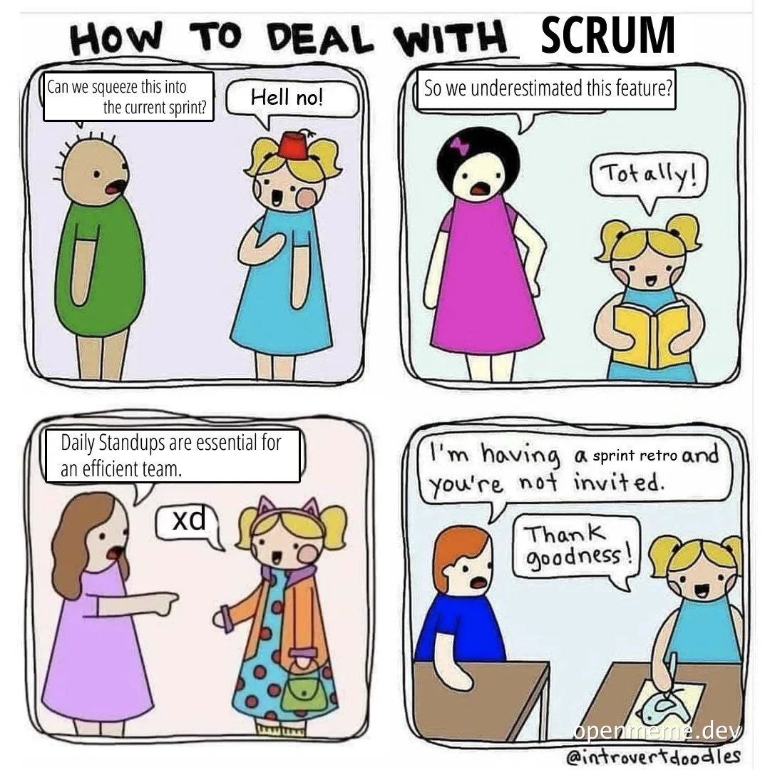 how to deal with scrum meme