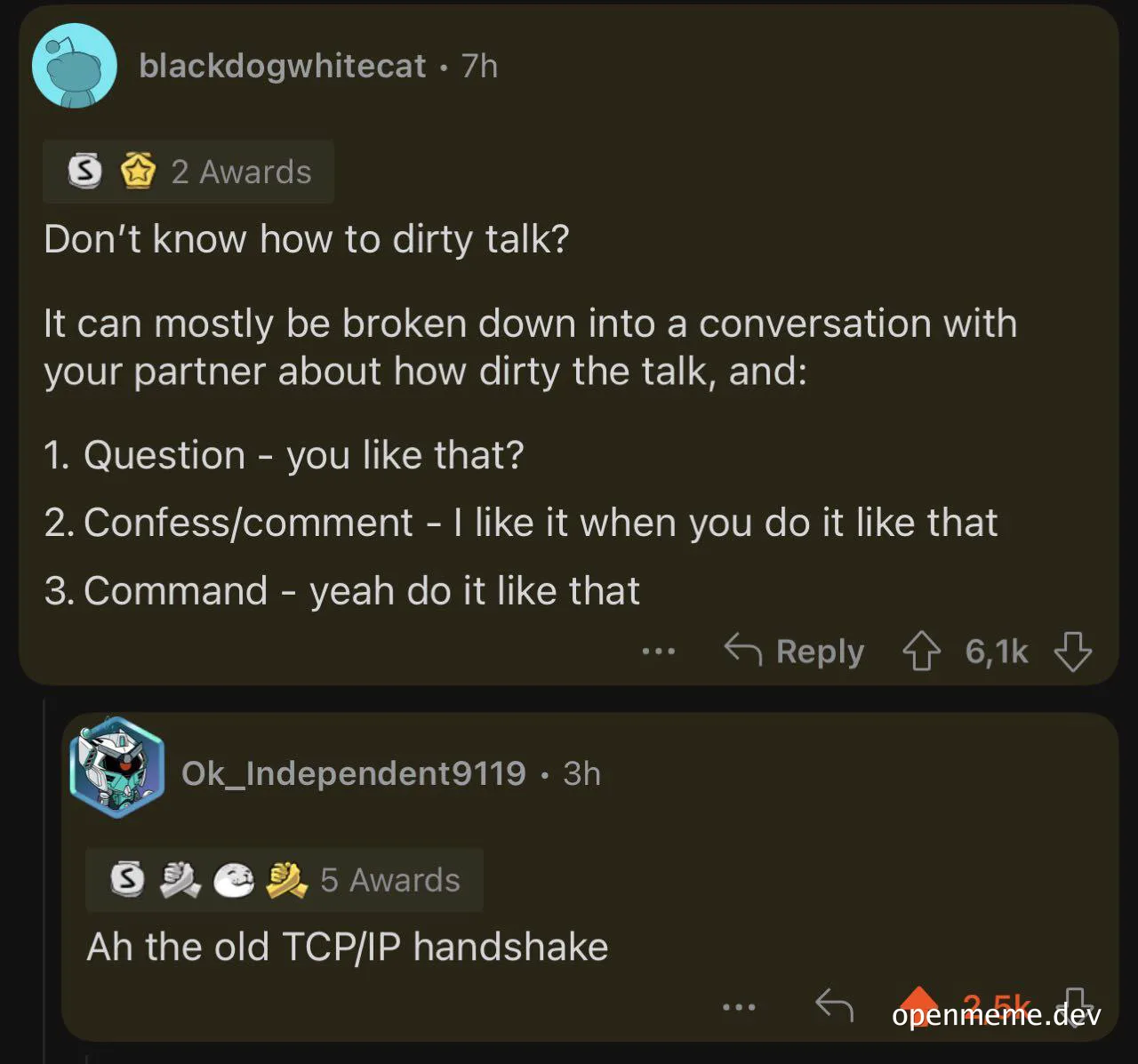meme about dirty talk and TCP/IP handshake