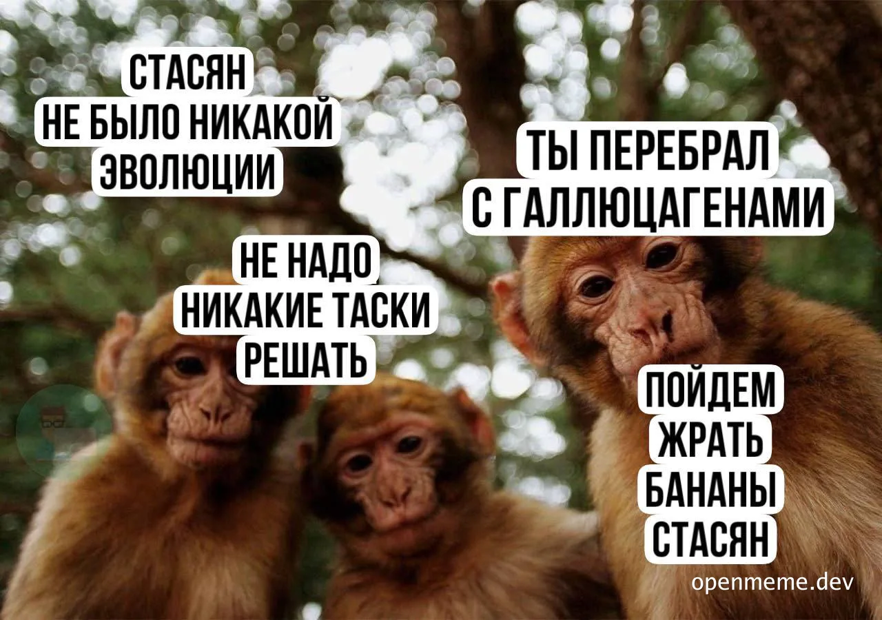 Three monkeys with a humorous conversation about evolution and hallucinogens