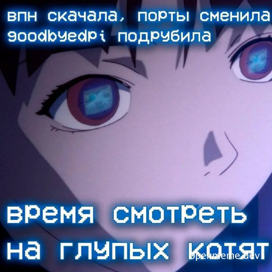 Anime girl with blue eyes and text about VPN and watching stupid kittens