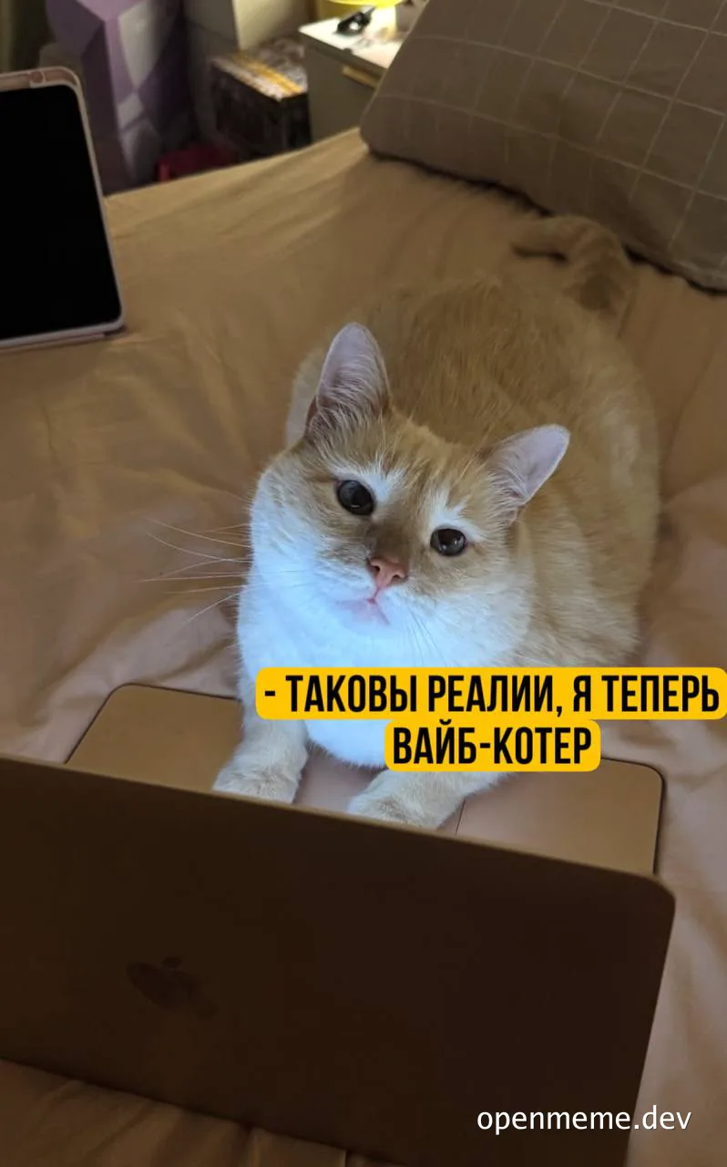 Рыжий кот лежит на кровати перед ноутбуком с подписью «такковы реалии, я теперь вайб-котер»