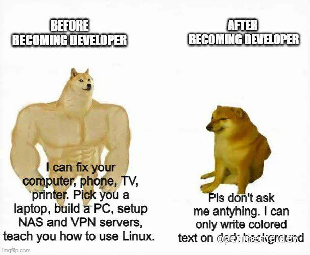 Dog meme comparing a muscular doge before becoming a developer to a skinny doge after