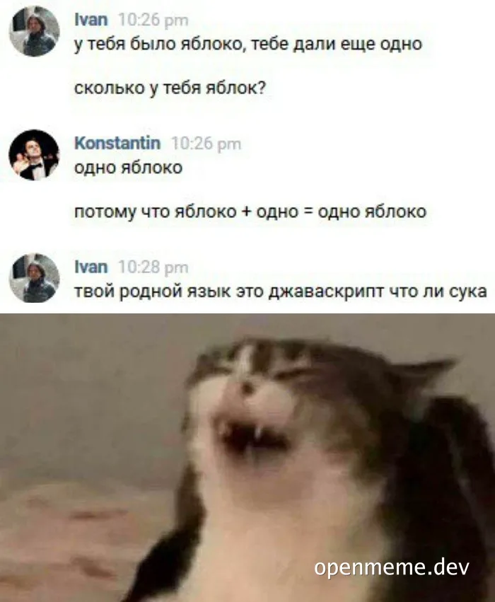 angry cat meme with russian conversation about math and javascript