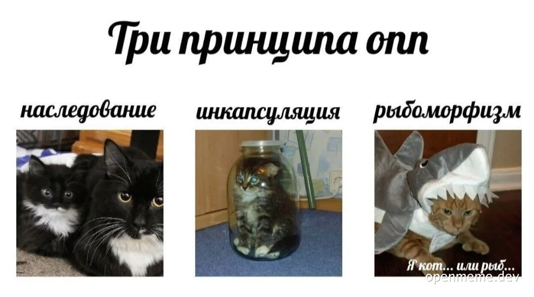 Three cats demonstrating OOP principles