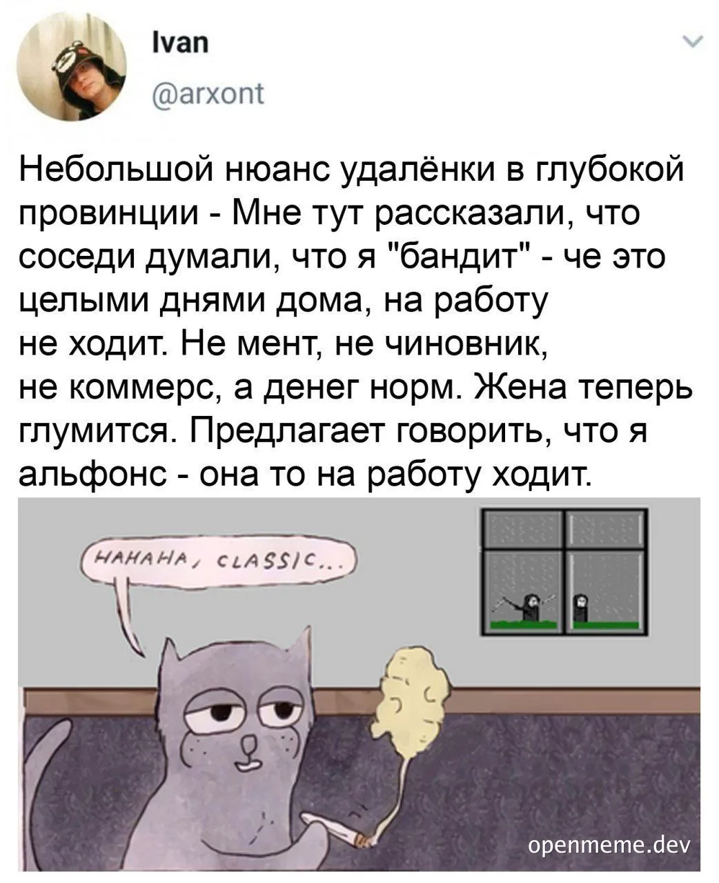 cat meme about remote work