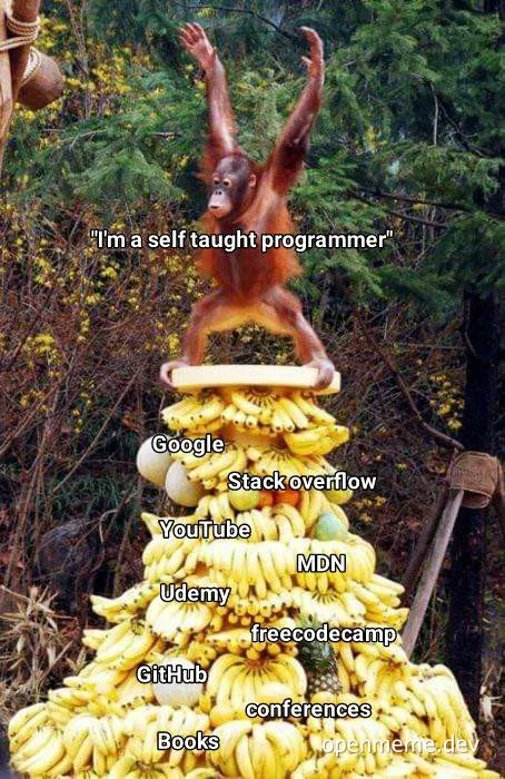 monkey on a pile of bananas labeled with programming resources