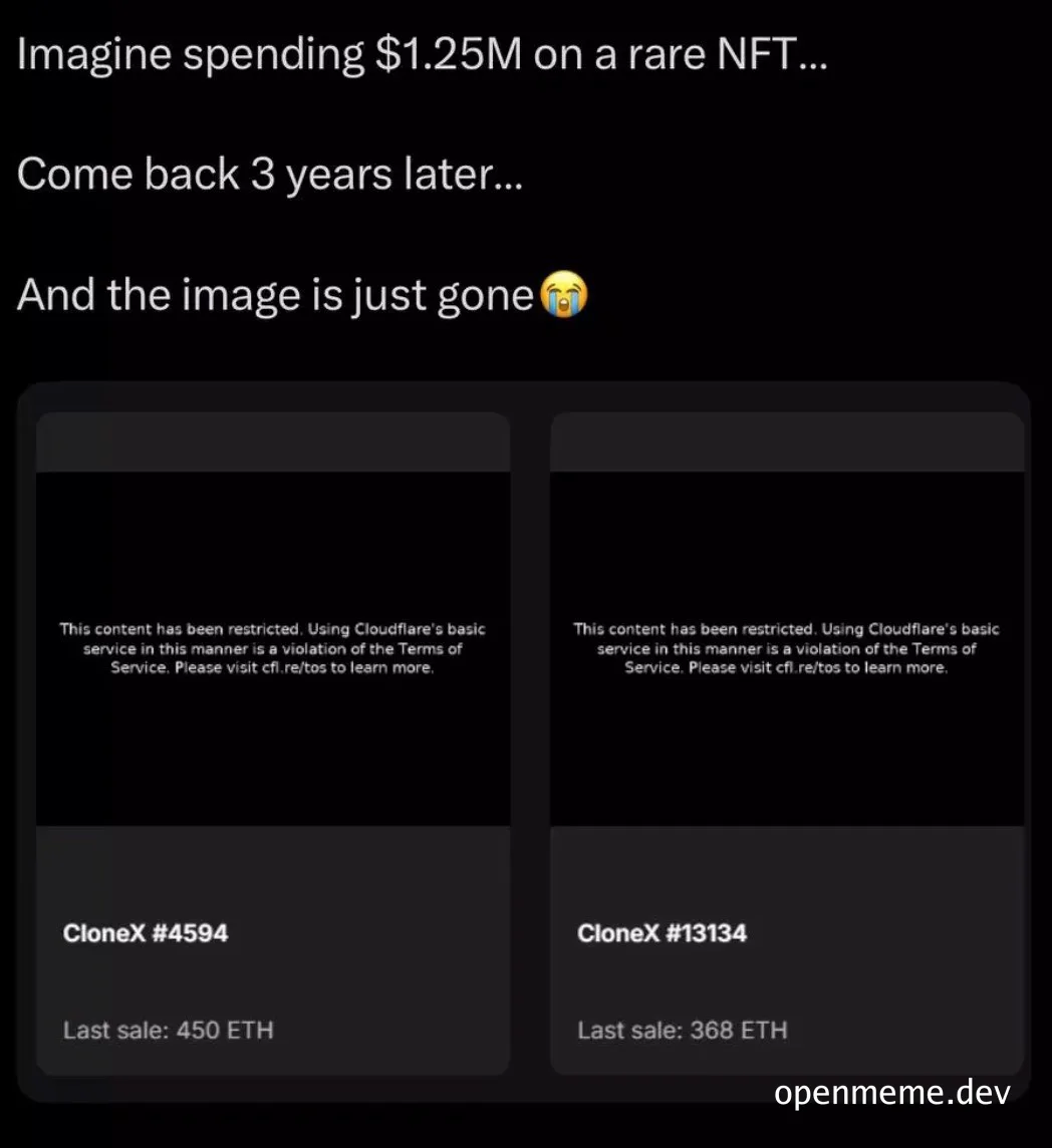 NFT meme about a $1.25M NFT image loss
