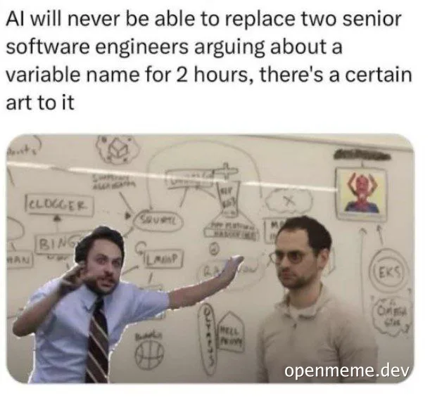 Two senior software engineers arguing about a variable name
