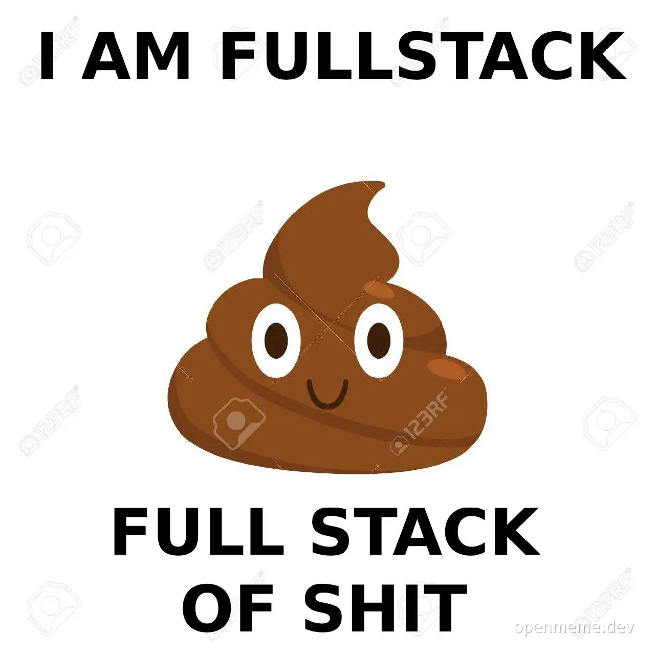 a brown poop emoji with a smiley face and the text 'I AM FULLSTACK FULL STACK OF SHIT'