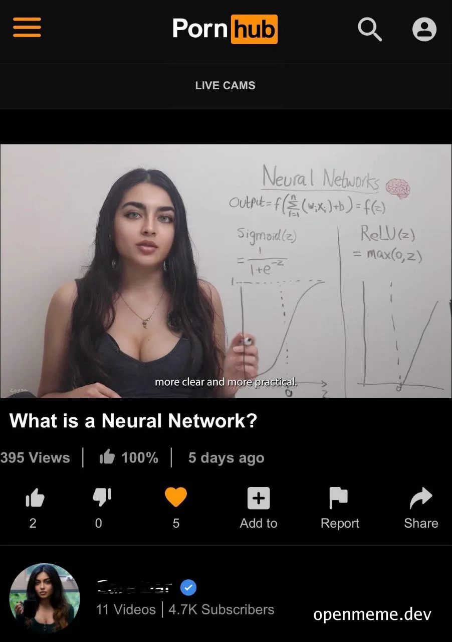 a woman in a black top standing in front of a whiteboard with neural network equations