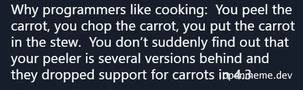 programmer cooking meme