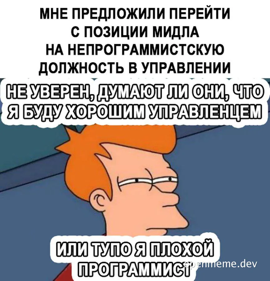Футурама meme: programmer offered management position