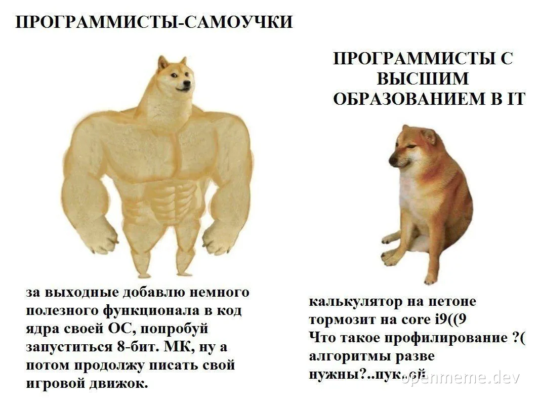 Doge meme comparing self-taught programmers and those with higher IT education