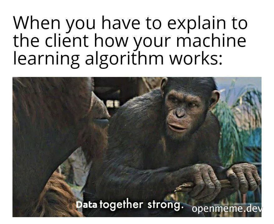 chimpanzee holding stick with text 'Data together strong', with caption 'When you have to explain to the client how your machine learning algorithm works:'