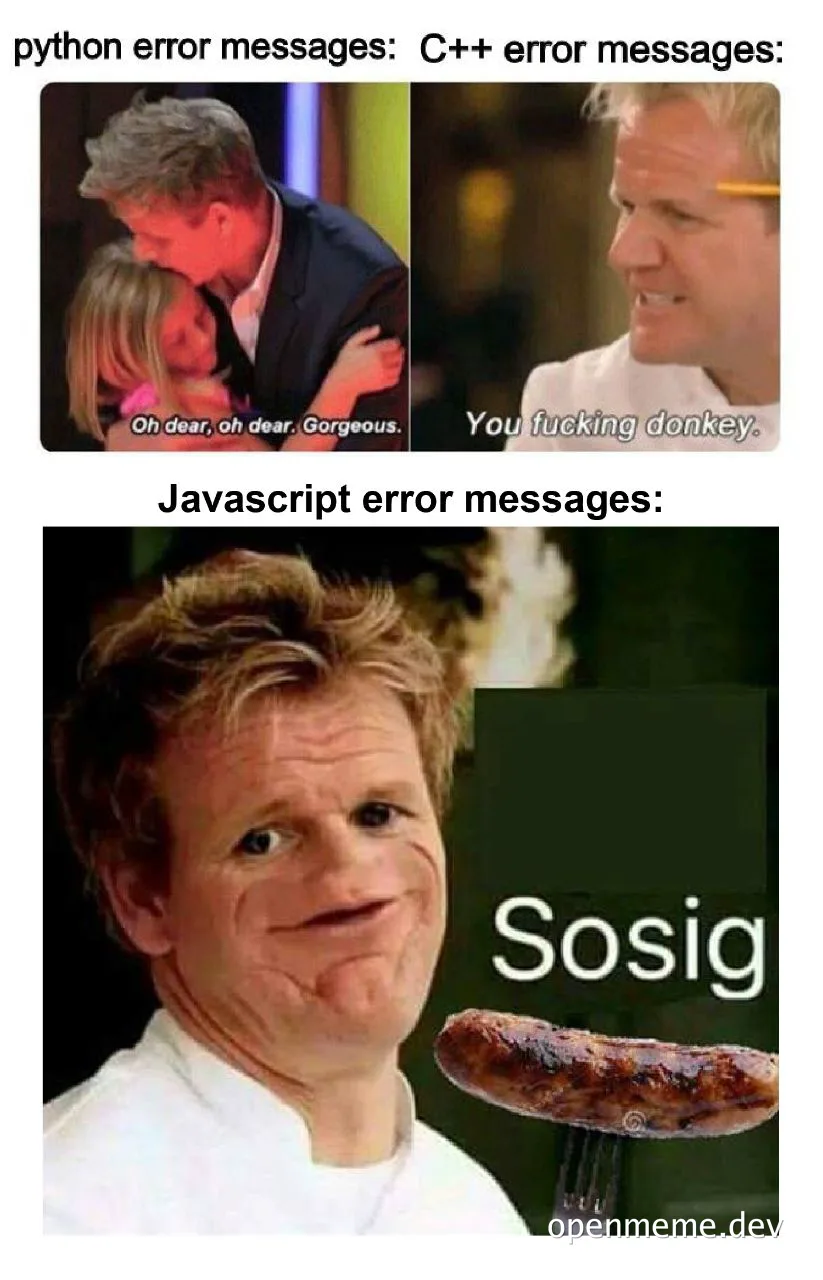 Gordon Ramsay meme comparing error messages of Python, C++, and Javascript