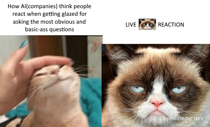 Grumpy cat meme reacting to basic questions