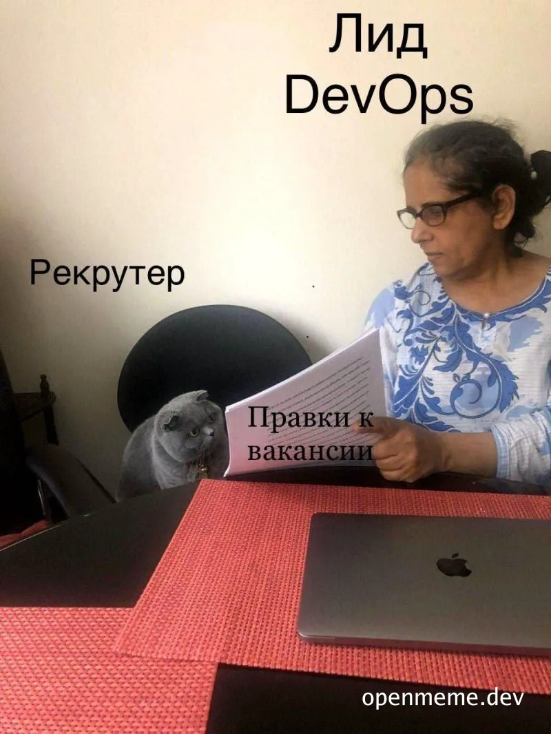woman reading document with cat beside her and laptop on table