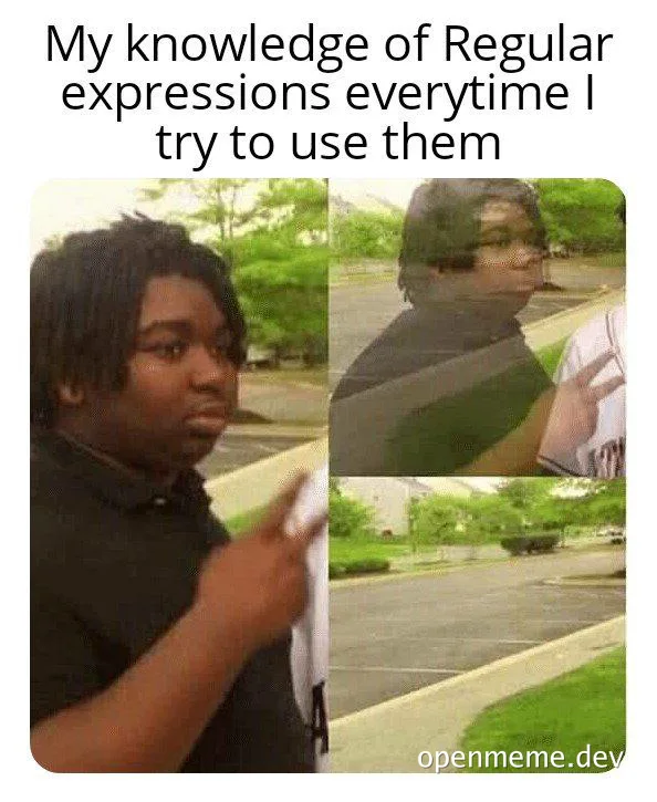 Confused developer struggling with regular expressions