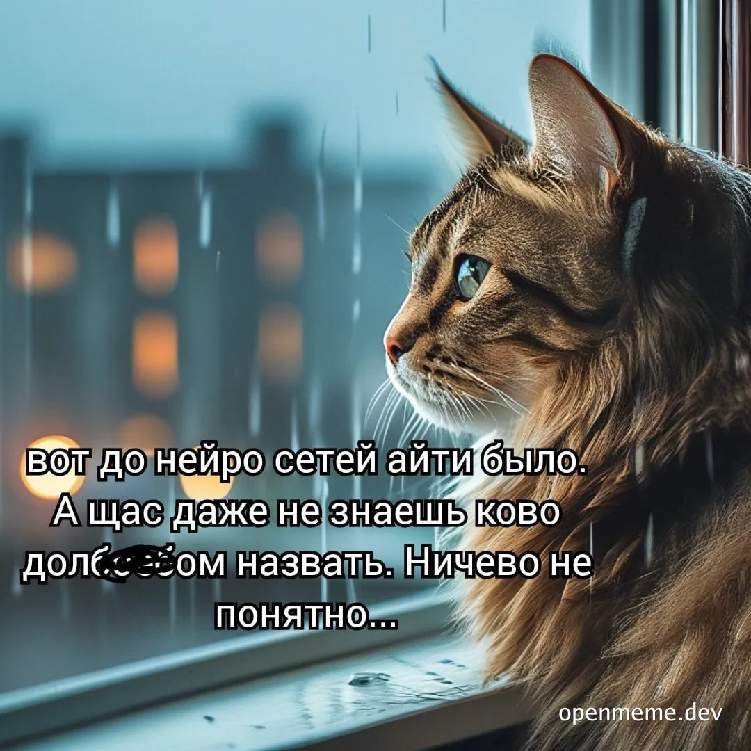 cat looking out the window on a rainy day with russian text overlay
