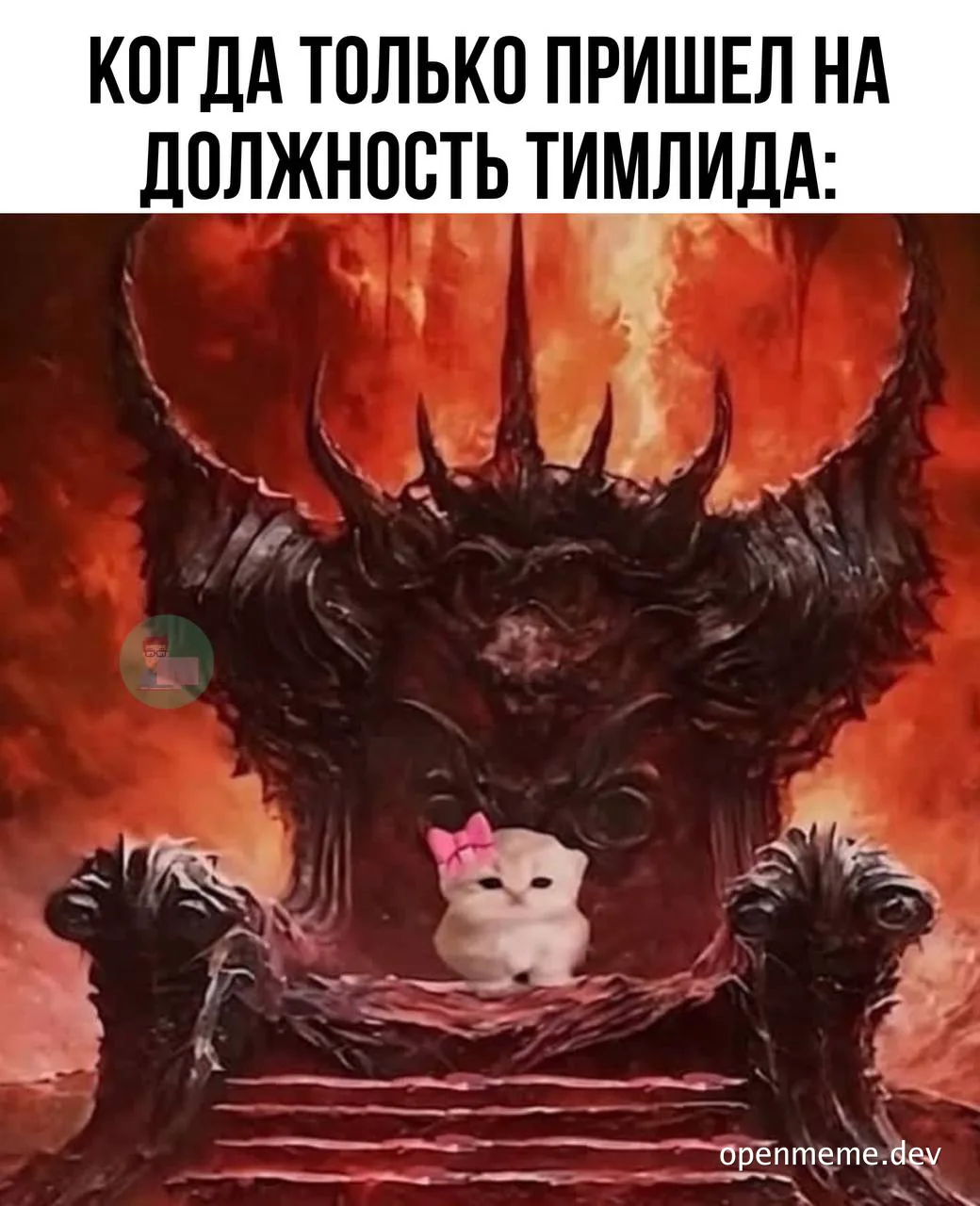 kitty on throne with pink bow