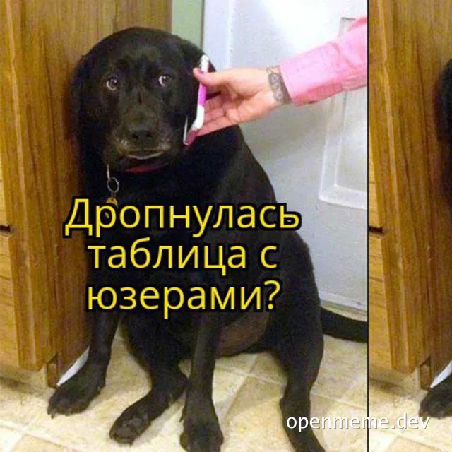 Black dog with a worried expression sitting next to a cabinet with a hand holding a mobile phone to its ear, overlaid with yellow Russian text.