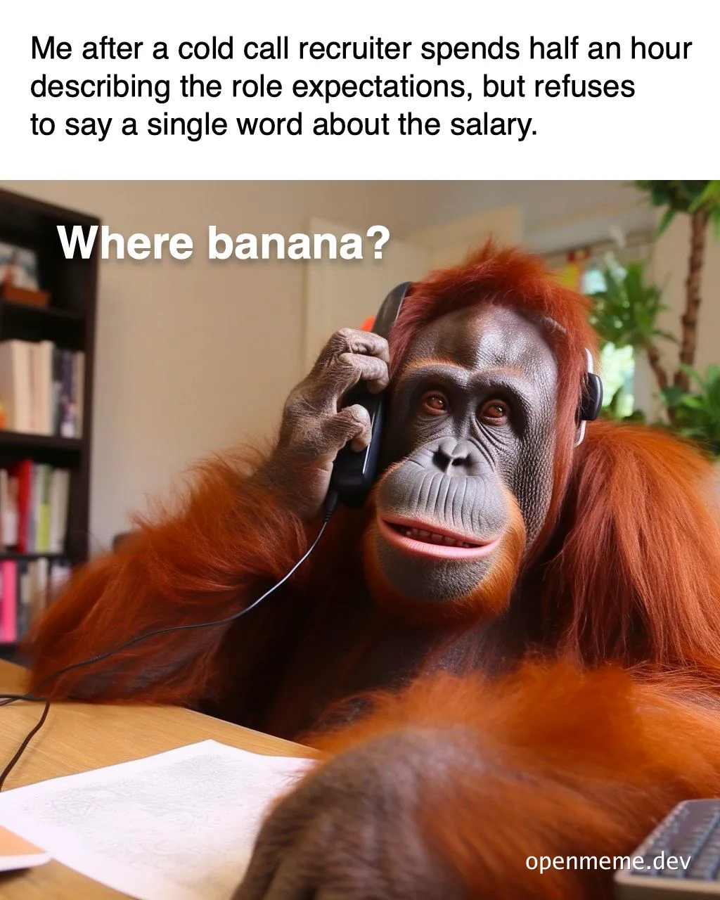 monkey on phone looking confused