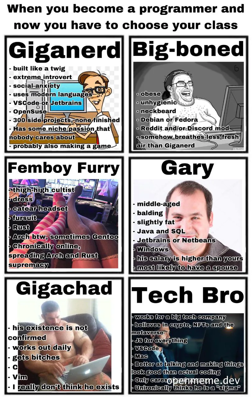 programmer stereotypes meme