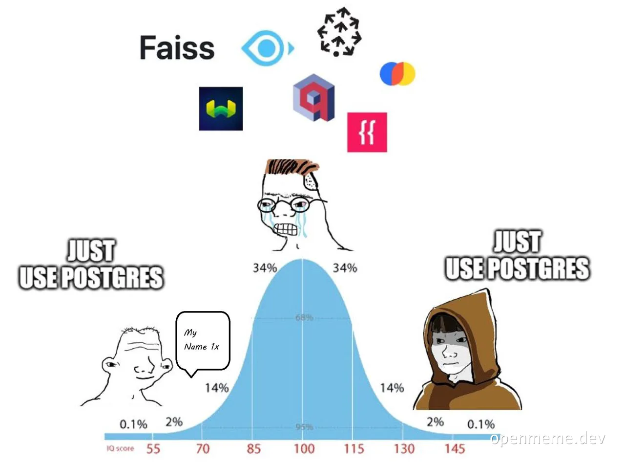 JUST USE POSTGRES meme with bell curve and confused developer