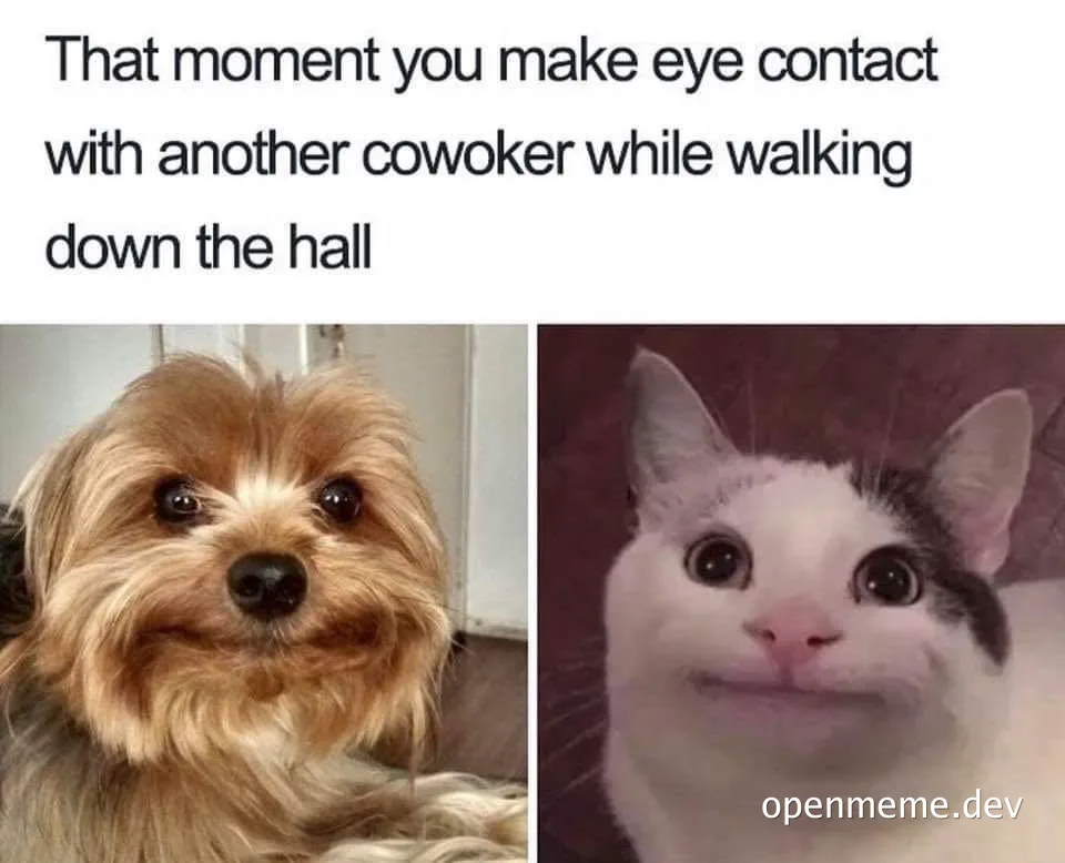 funny meme about awkward eye contact with a coworker