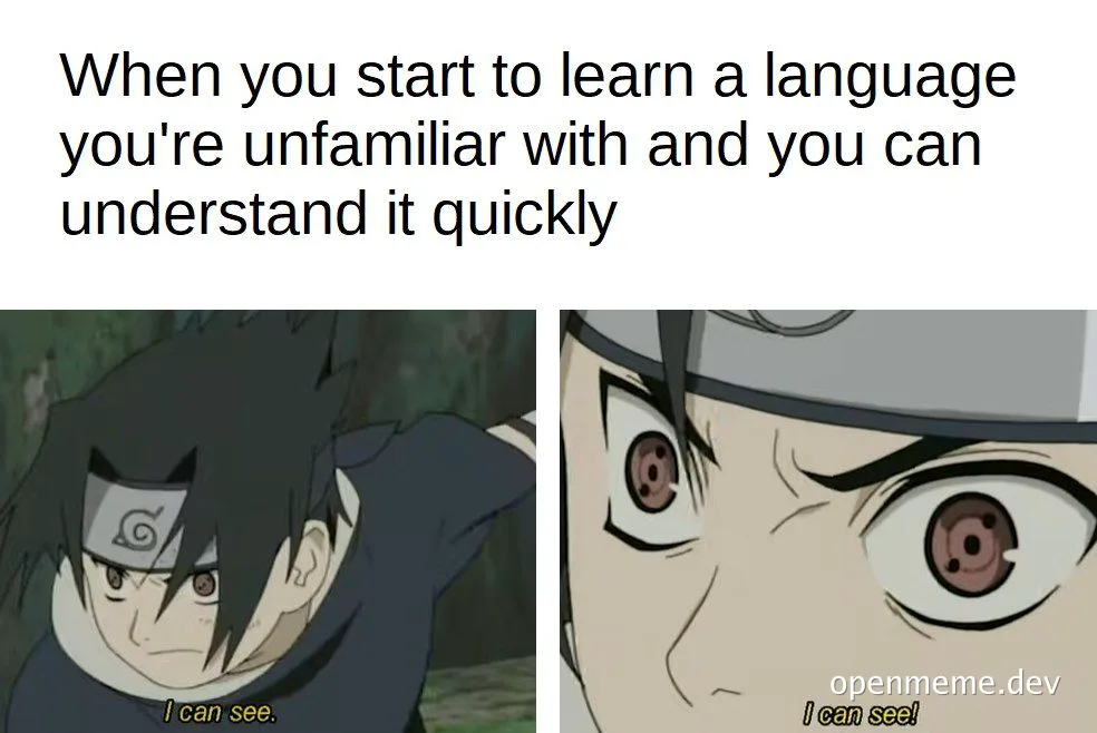 Naruto anime meme about quickly understanding a new programming language