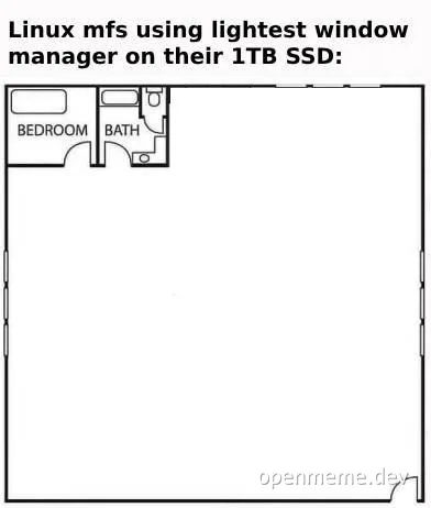 Linux users minimalist window manager 1TB SSD joke