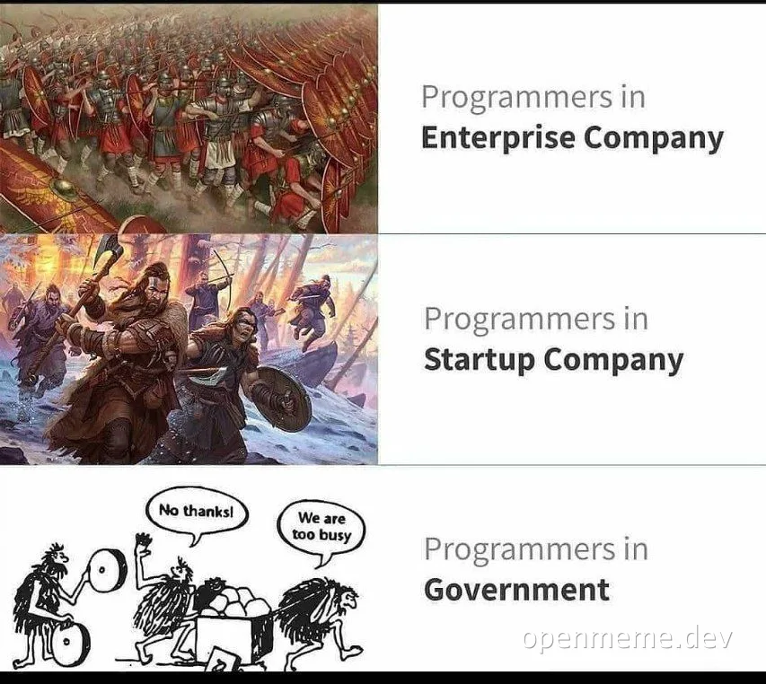 programmers in enterprise company vs startup company vs government
