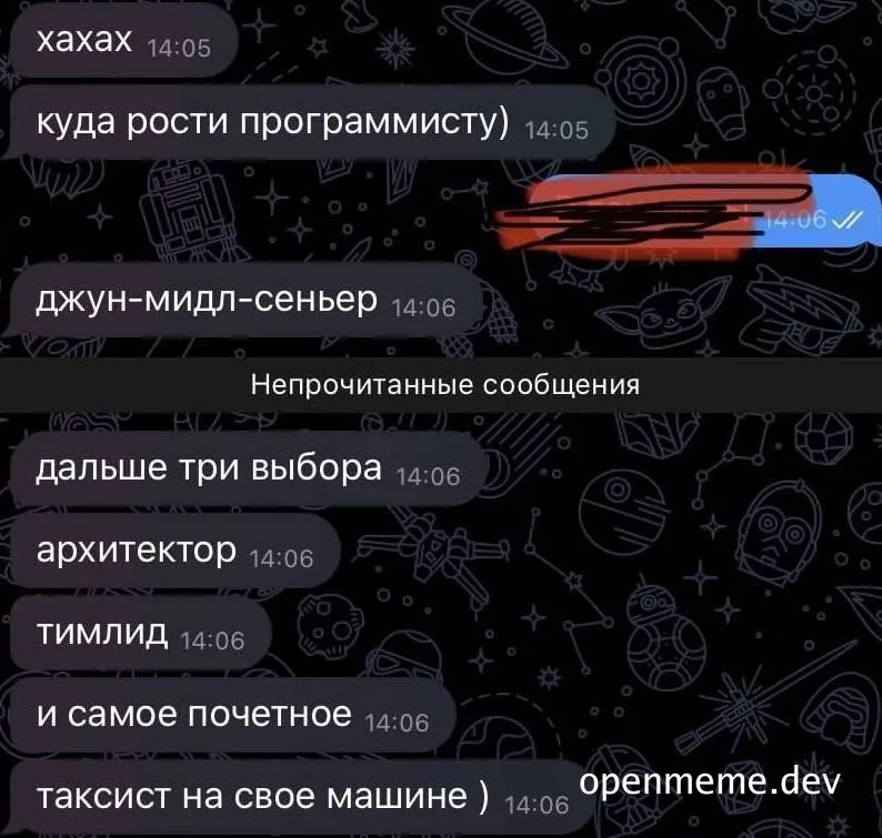 russian text message conversation about programmer career paths