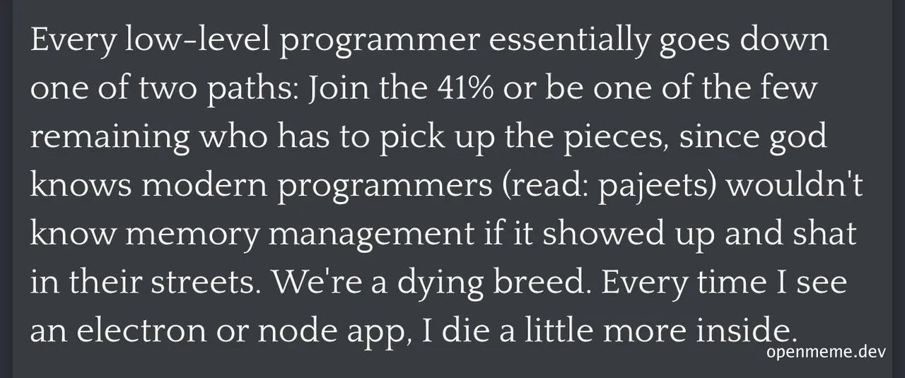 programmer lamenting the decline of low-level programming skills