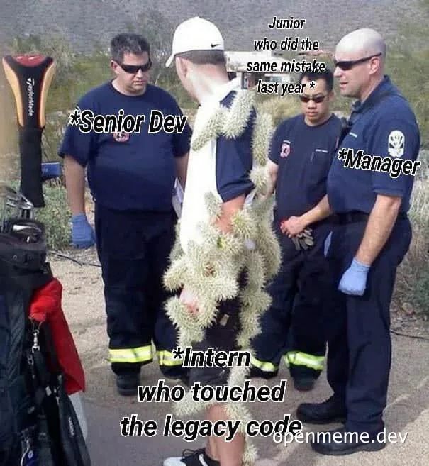 A group of people in emergency responder uniforms with a person covered in a cactus, labeled as a joke about legacy code.