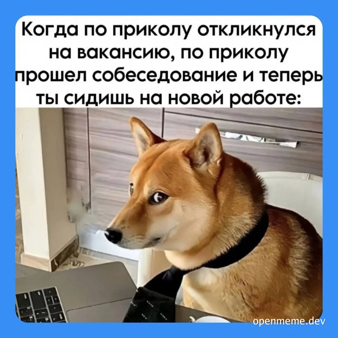 Shiba Inu dog wearing a tie sitting at a laptop with a surprised expression