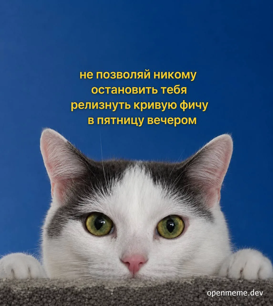 Close up of a white and grey cat with green eyes staring forward. Yellow Russian text overlay reads: 'Don't let anyone stop you from releasing a bad feature on Friday night'.