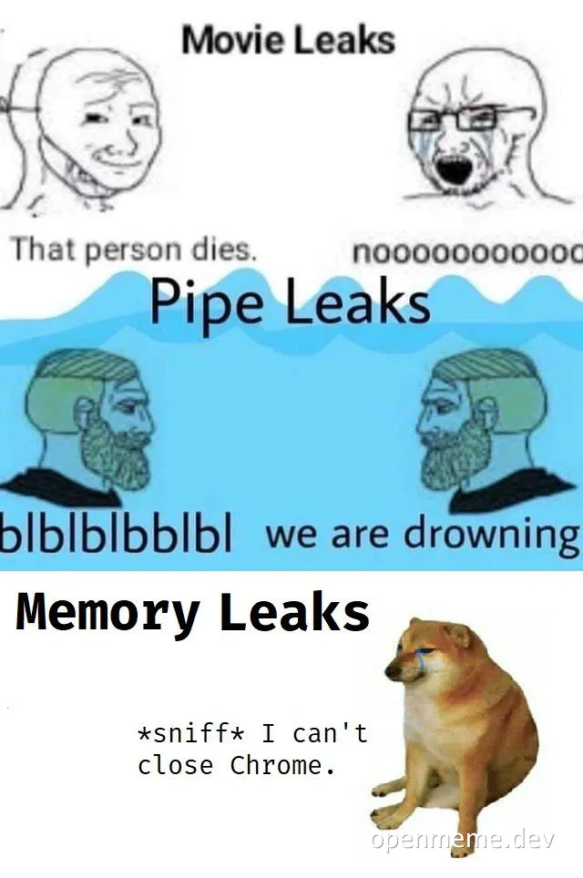 A meme depicting reactions to different types of leaks: Movie Leaks, Pipe Leaks, and Memory Leaks
