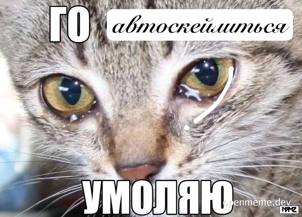 Sad cat with tears and russian text