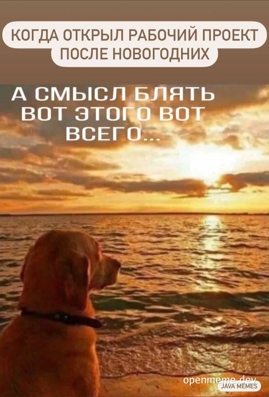 dog looking at sunset over water with russian text overlay