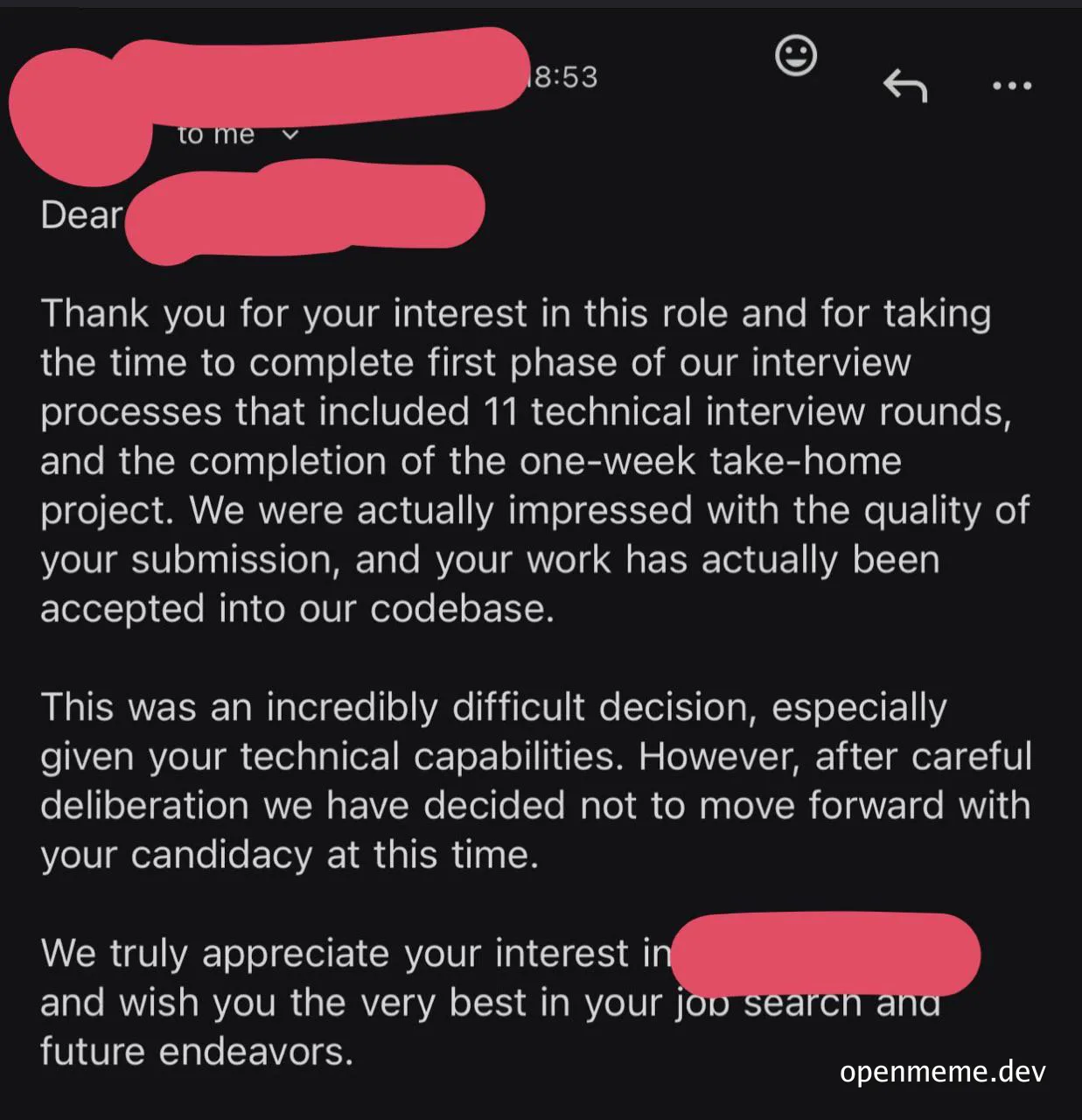 Rejected from a job despite completing 11 technical interview rounds