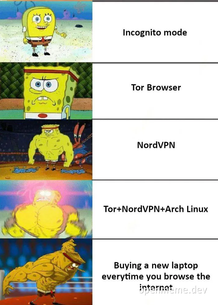SpongeBob SquarePants meme about internet privacy